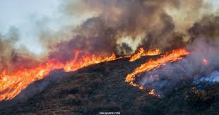 MAUI_FIRE.jpg